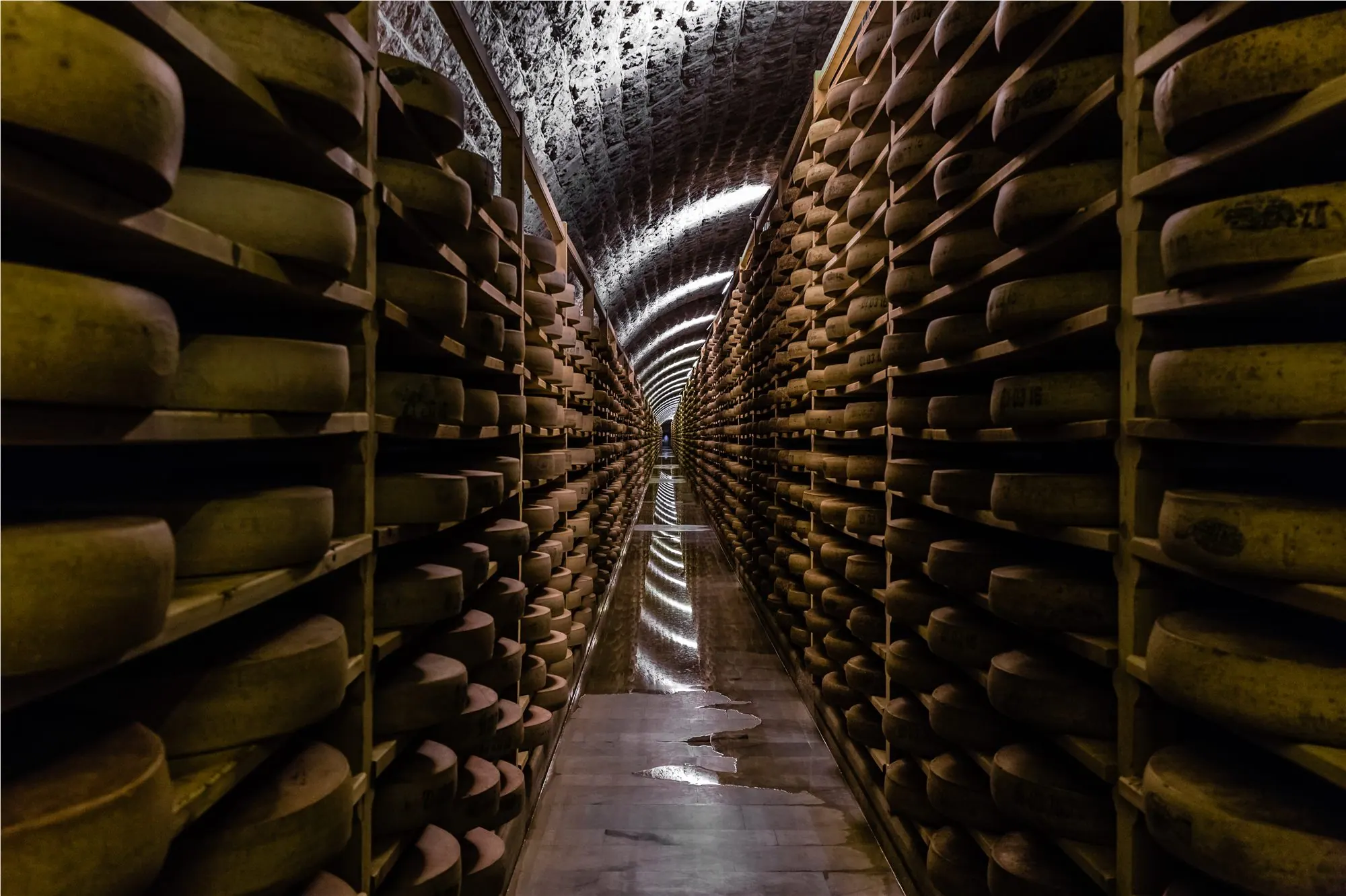Meules de Comté observées lors d’une immersion professionnelle dans une filière agroalimentaire du Jura