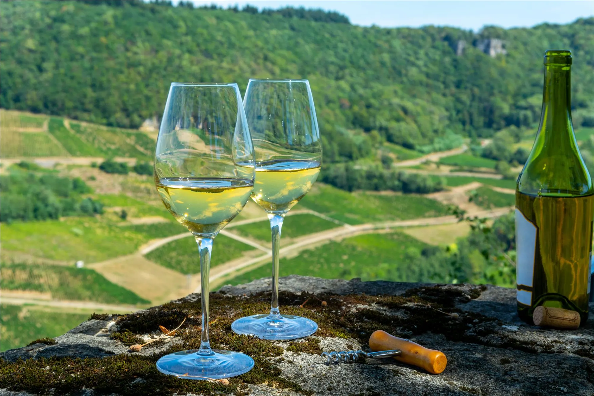 Dégustation de vin dans le vignoble jurassien