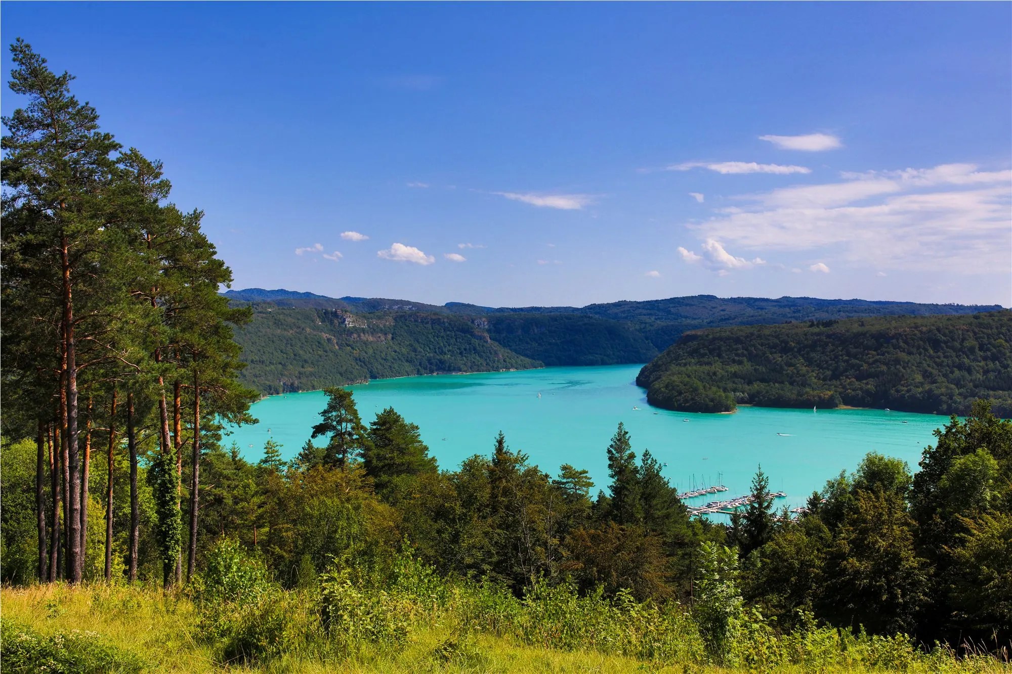 Vue panoramique du lac de Vouglans au milieu des forêts