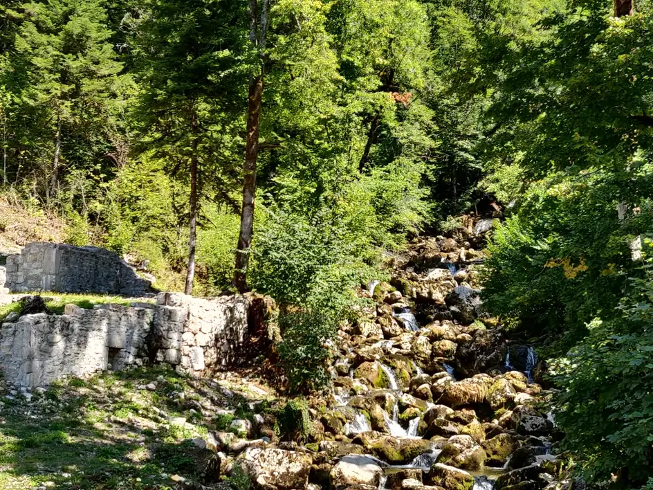Ruisseau et falaises boisées dans la reculée de la Frasnée